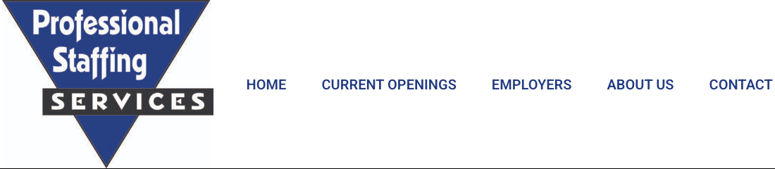 Professional Staffing Services Group